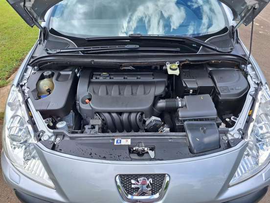PEUGEOT-307-2008