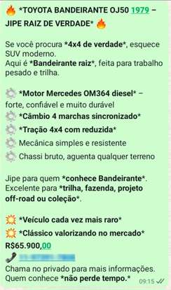 TOYOTA-BANDEIRANTE-1979