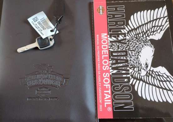 HARLEY-DAVIDSON-SOFTAIL FAT BOY 114-2022