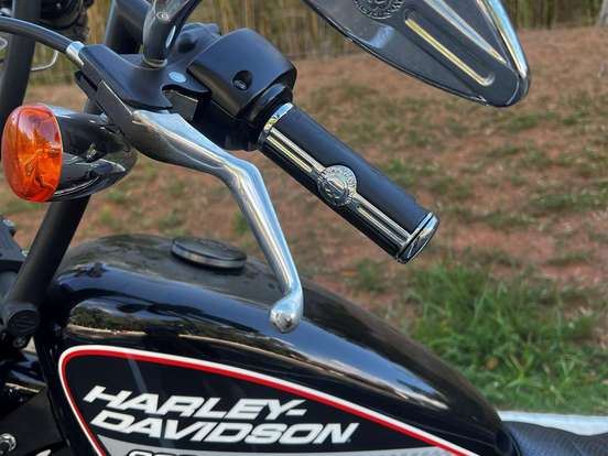 HARLEY-DAVIDSON-SPORTSTER 883 ROADSTER HARLEY-DAVIDSON-SPORTSTER 883 ROADSTER-2014