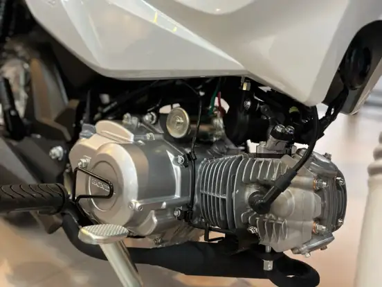HONDA-POP 110i HONDA-POP 110i-2024
