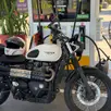 TRIUMPH STREET SCRAMBLER TRIUMPH STREET SCRAMBLER