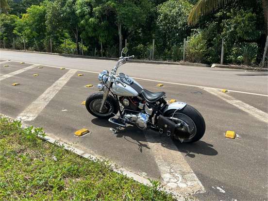 HARLEY-DAVIDSON-SOFTAIL FAT BOY HARLEY-DAVIDSON-SOFTAIL FAT BOY-1991