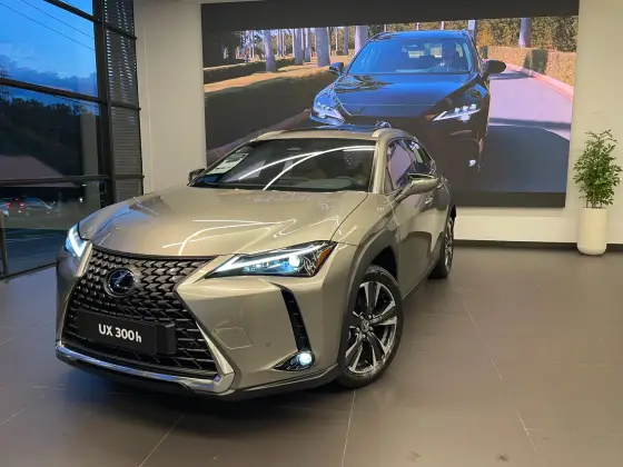LEXUS UX 300h 2.0 VVT-I HYBRID CVT