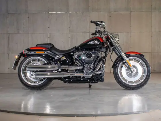 HARLEY-DAVIDSON SOFTAIL FAT BOY 117 