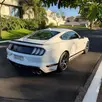FORD MUSTANG 5.0 V8 TI-VCT GASOLINA MACH 1 SELECTSHIFT FORD MUSTANG 5.0 V8 TI-VCT GASOLINA MACH 1 SELECTSHIFT