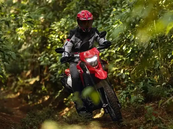 HONDA-XR 300L TORNADO HONDA-XR 300L TORNADO-2025