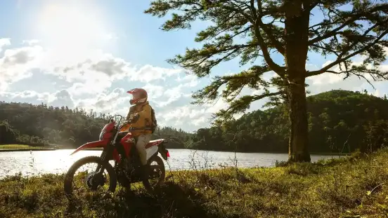 HONDA-XR 300L TORNADO-2026