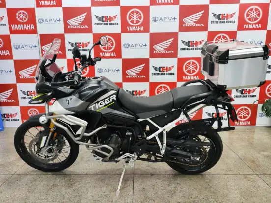 TRIUMPH-TIGER 900 RALLY ARAGÓN-2023