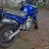 HONDA NX4 FALCON HONDA NX4 FALCON