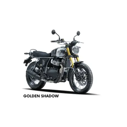 ROYAL ENFIELD BEAR 650 
