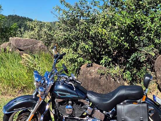 HARLEY-DAVIDSON-SOFTAIL DELUXE HARLEY-DAVIDSON-SOFTAIL DELUXE-2015