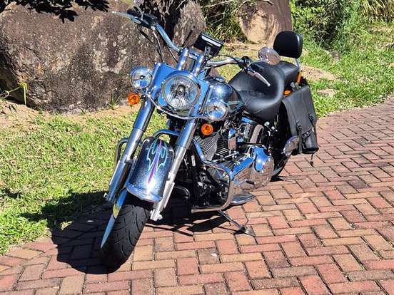 HARLEY-DAVIDSON-SOFTAIL DELUXE HARLEY-DAVIDSON-SOFTAIL DELUXE-2015