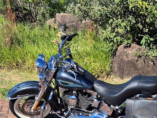 HARLEY-DAVIDSON-SOFTAIL DELUXE HARLEY-DAVIDSON-SOFTAIL DELUXE-2015