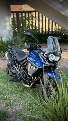 TRIUMPH-TIGER 800 XRX-2017