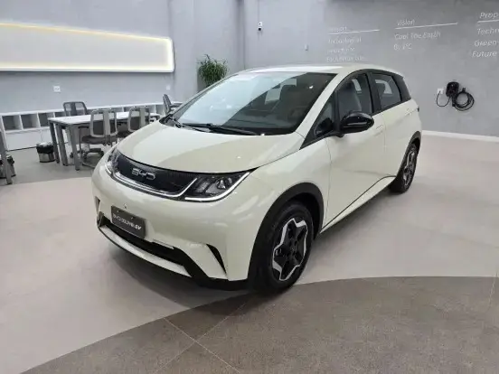 BYD DOLPHIN 44,9 KW ELÉTRICO GS