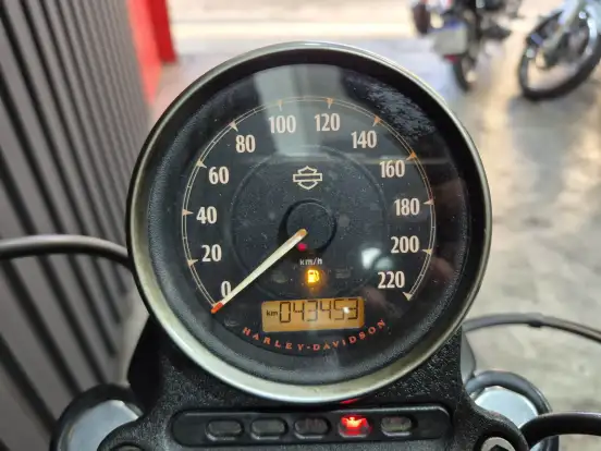 HARLEY-DAVIDSON-SPORTSTER IRON 883 HARLEY-DAVIDSON-SPORTSTER IRON 883-2018