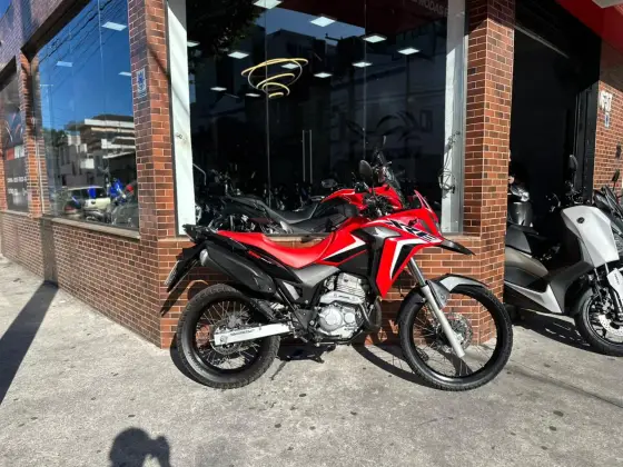 HONDA XRE 300 RALLY 