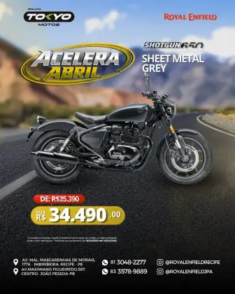ROYAL ENFIELD SHOTGUN 650 SHEET METAL GREY 