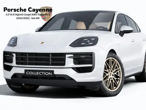 PORSCHE CAYENNE 3.0 V6 E-HYBRID AWD TIPTRONIC S