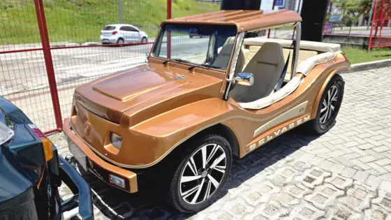 VOLKSWAGEN BUGGY 1.6 SELVAGEM 8V GASOLINA MANUAL