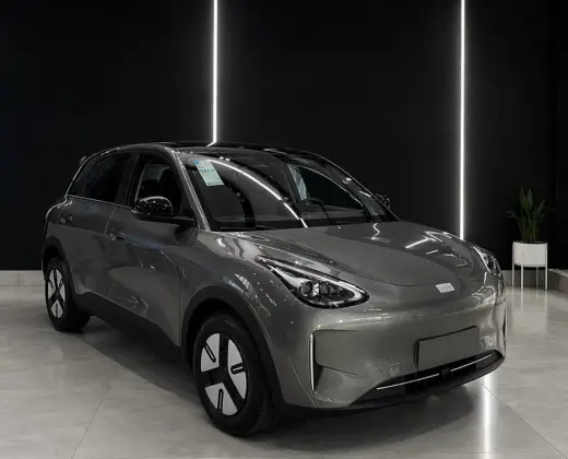 GEELY EX2 39,4 KW ELÉTRICO PRO