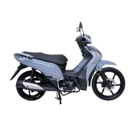 SHINERAY-JET 125 SS-2026