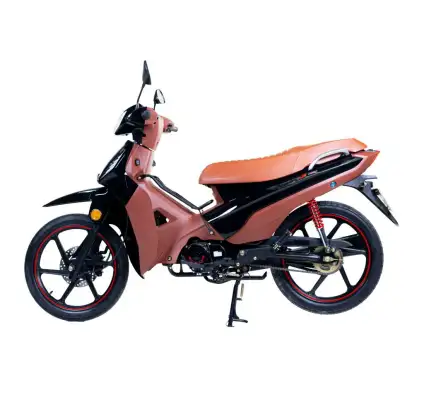 SHINERAY-PHOENIX S 50 EFI SHINERAY-PHOENIX S 50 EFI-2026