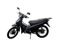SHINERAY PHOENIX S 50 SHINERAY PHOENIX S 50