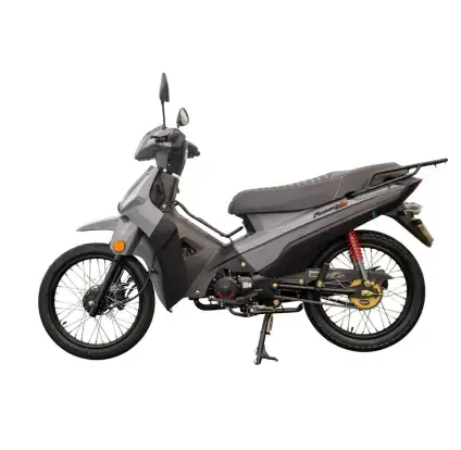 SHINERAY-PHOENIX S 50 SHINERAY-PHOENIX S 50-2026