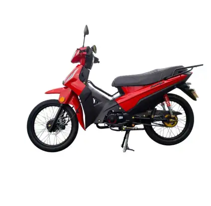 SHINERAY-PHOENIX S 50 SHINERAY-PHOENIX S 50-2026