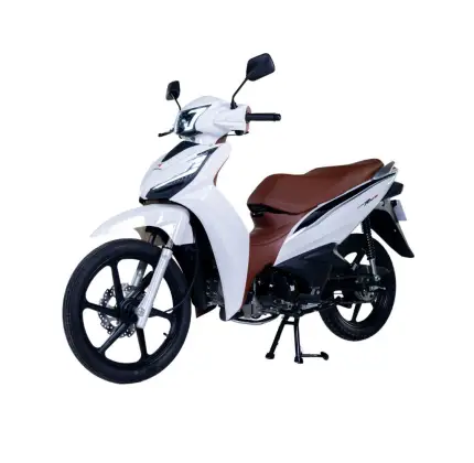 SHINERAY RIO 125 