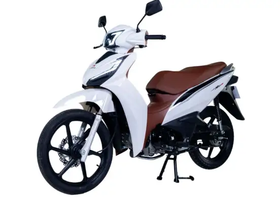 SHINERAY-RIO 125 SHINERAY-RIO 125-2026