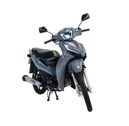 SHINERAY-RIO 125-2026