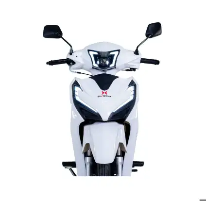 SHINERAY-RIO 125 SHINERAY-RIO 125-2026