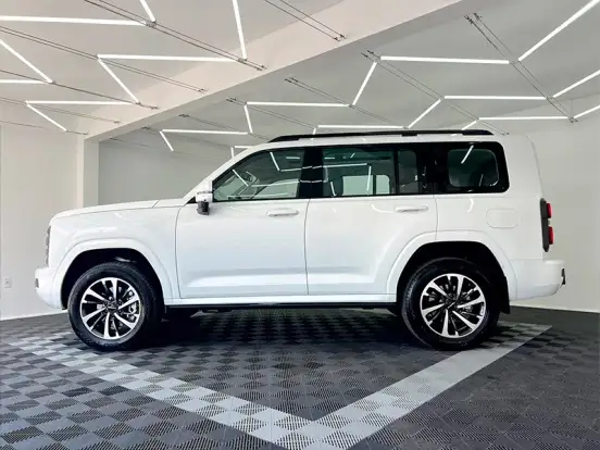 GWM-HAVAL H9-2025