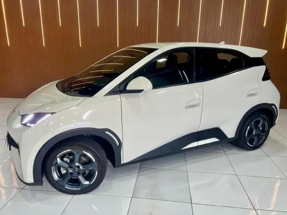 BYD DOLPHIN MINI 38 KW ELÉTRICO