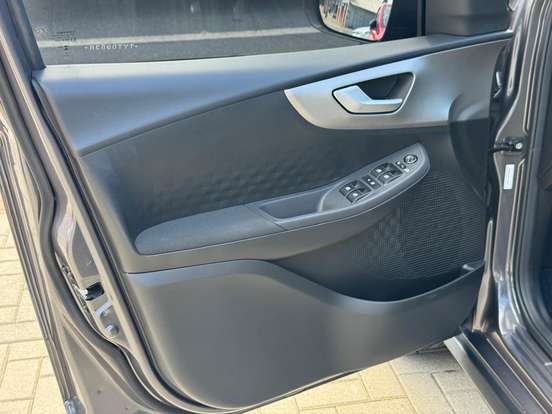 FIAT-PULSE-2025