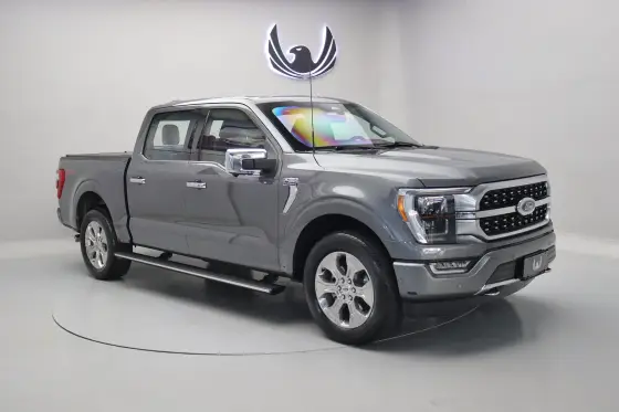 FORD F-150 5.0 V8 GASOLINA CD PLATINUM FX4 AUTOMÁTICO