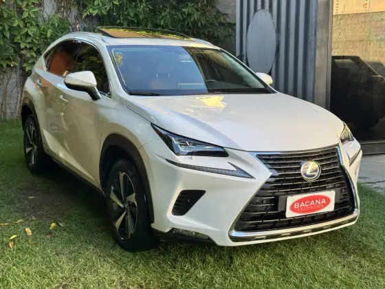 LEXUS NX 300 2.0 16V VVT-i TURBO GASOLINA LUXURY 6A/T AWD