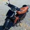 SHINERAY PHOENIX S 50 SHINERAY PHOENIX S 50