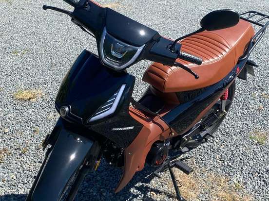SHINERAY-PHOENIX S 50 SHINERAY-PHOENIX S 50-2025