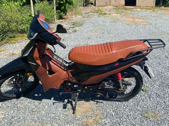 SHINERAY-PHOENIX S 50 SHINERAY-PHOENIX S 50-2025