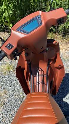 SHINERAY-PHOENIX S 50-2025