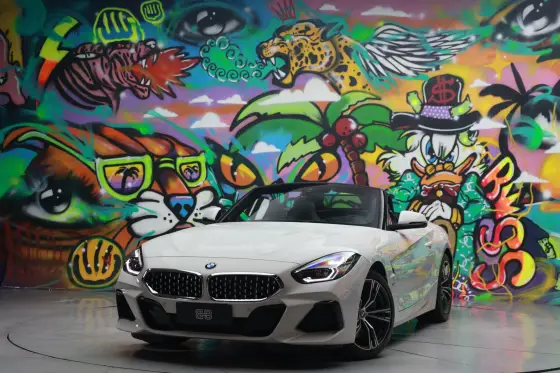 BMW Z4 2.0 TWINPOWER GASOLINA SDRIVE30i M SPORT STEPTRONIC