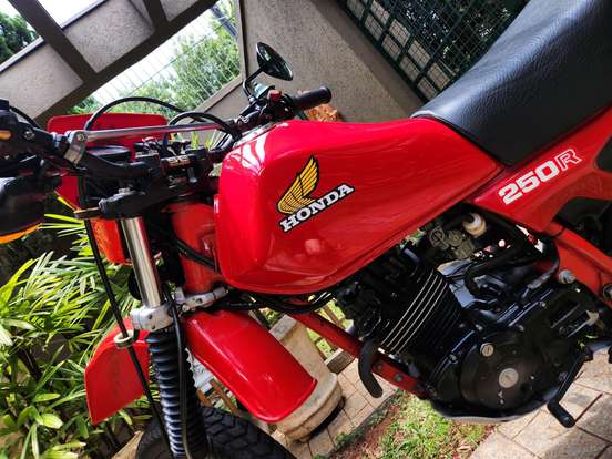 HONDA-XL 250R-1983