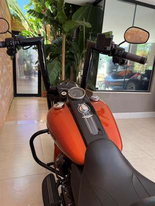 HARLEY-DAVIDSON-ROAD KING SPECIAL-2019
