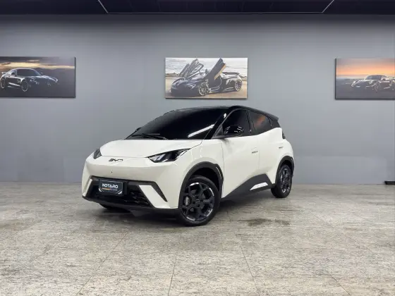 BYD DOLPHIN MINI 38 KW ELÉTRICO GS