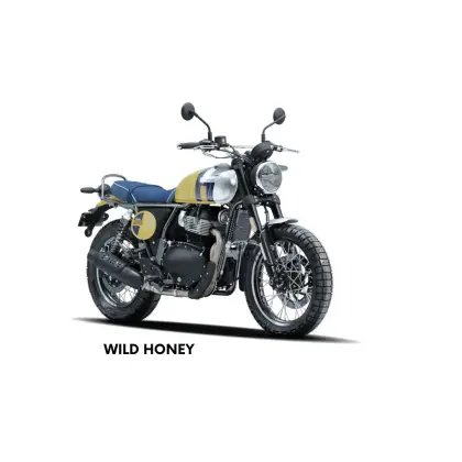 ROYAL ENFIELD BEAR 650 