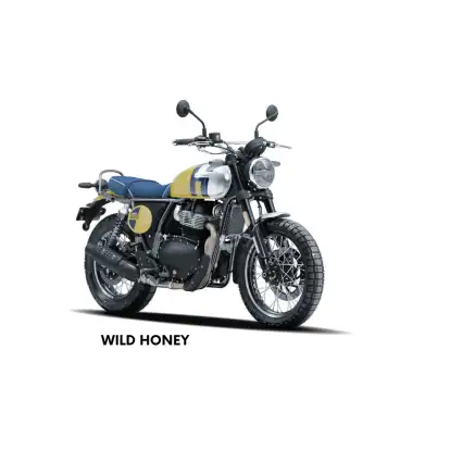 ROYAL ENFIELD-BEAR 650 ROYAL ENFIELD-BEAR 650-2026
